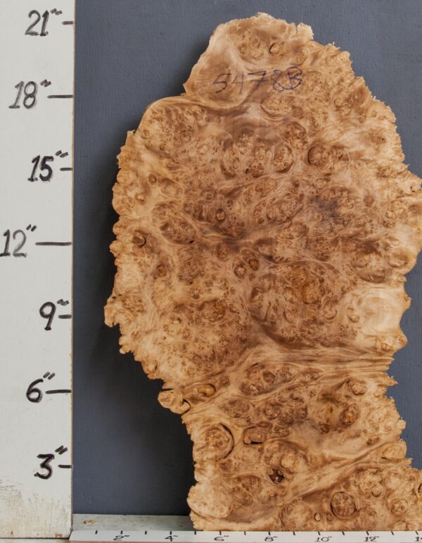 AAAAA MAPLE BURL BLOCK WITH LIVE EDGE 9" X 21" X 1" (NWT-5478B) - Image 2