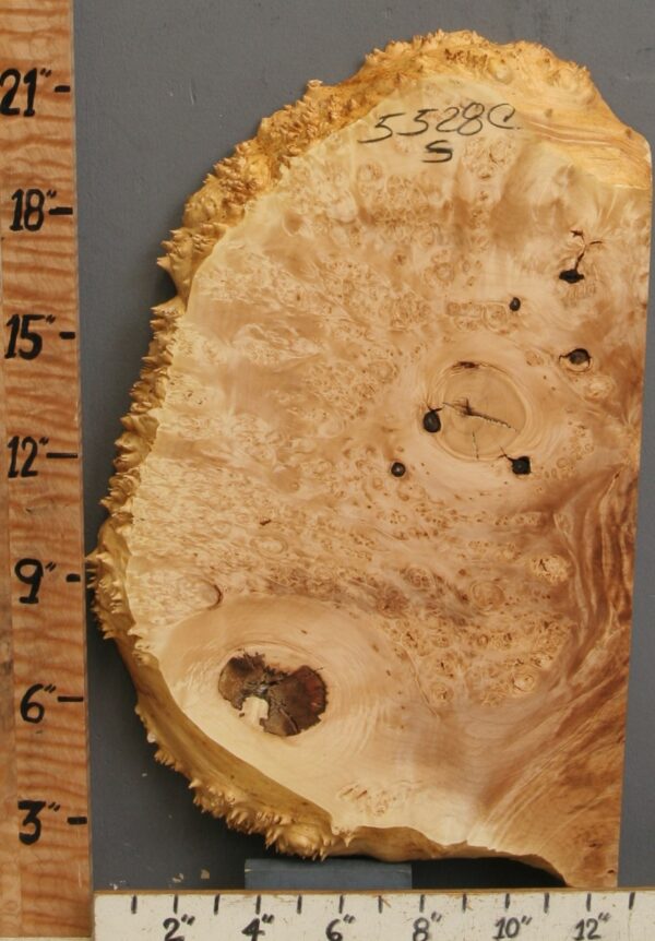 5A Burl Maple Lumber with Live Edge 13" X 20" X 1"5/8 (NWT-5528C) - Image 2