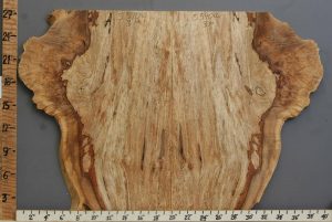 5A Spalted Burl Maple Microlumber Bookmatch with Live Edge 39" X 27" X  3/4 (NWT-5590C)
