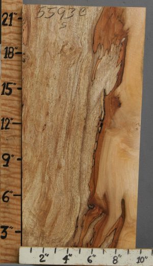 5A Spalted Maple Block 9"1/4 X 21" X 2"1/4 (NWT-5593C)