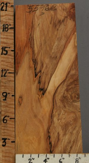 5A Spalted Maple Block 8" X 21" X 2"1/4 (NWT-5596C)