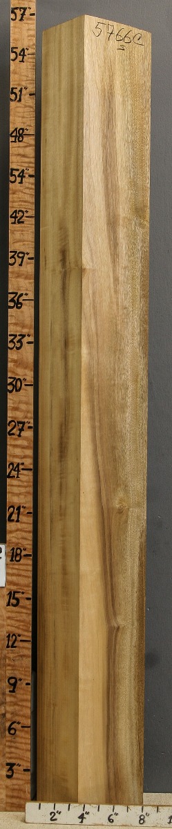 5A Curly Myrtlewood Lumber 6"1/4 X 55" X 4"1/2 (NWT-5766C)