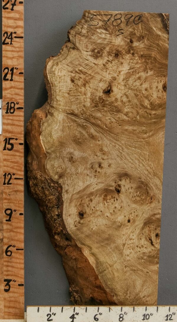 5A Burl Myrtlewood Lumber 9" X 26" X 2"7/8 (NWT-5789C)