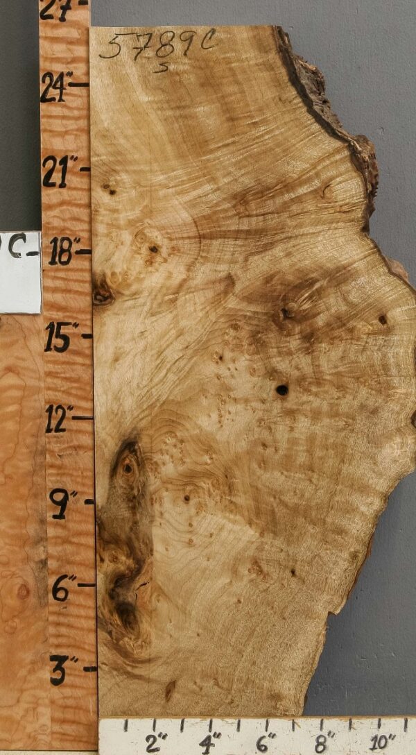 5A Burl Myrtlewood Lumber 9" X 26" X 2"7/8 (NWT-5789C) - Image 2