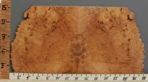 5A Burl Spalted Maple Microlumber Bookmatch with Live Edge 27" X 15" X 3/8 (NWT-5823C)