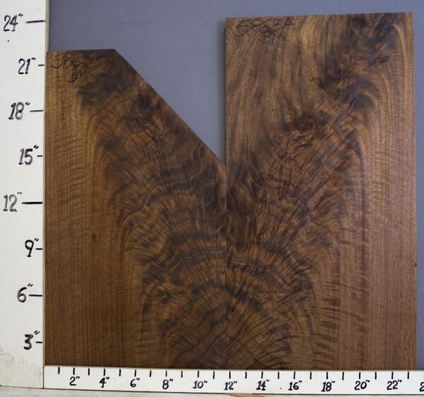 AAAAA CURLY CROTCH CLARO WALNUT 23"1/2 X 22" X 4/4 (NWT5863A)