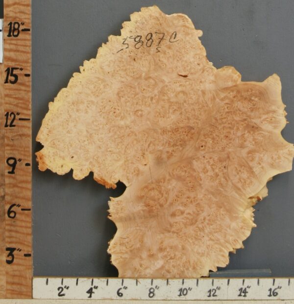 5A Burl Maple Lumber with Live Edge 17" X 18" X 1" (NWT-5887C) - Image 2