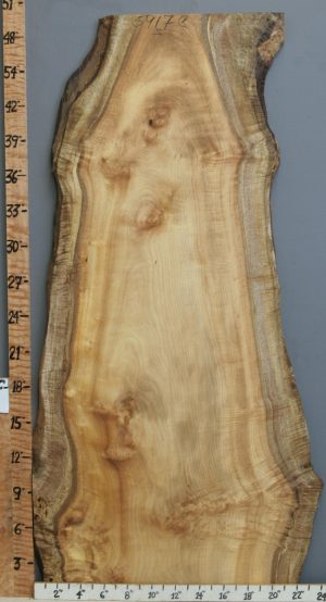 5A Curly Myrtlewood Lumber with Live Edge 19" X 49" X 4/4 (NWT-5917C)
