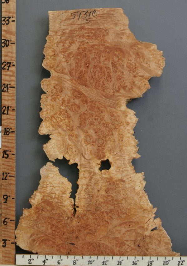 5A Burl Maple Lumber with Live Edge 16" X 34" X 1"3/4 (NWT-5931C) - Image 2