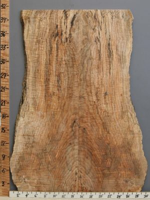 5A Frog Hair Spalted Curly Maple Bookmatch with Live Edge 24" X 41" X 3/4 (NWT-5991C)