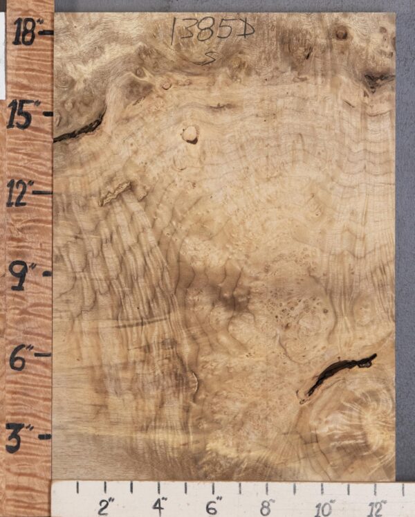 5A Block Burl Myrtlewood Lumber 12"1/2 X 18" X 1"3/4 (NWT-1385D) - Image 2