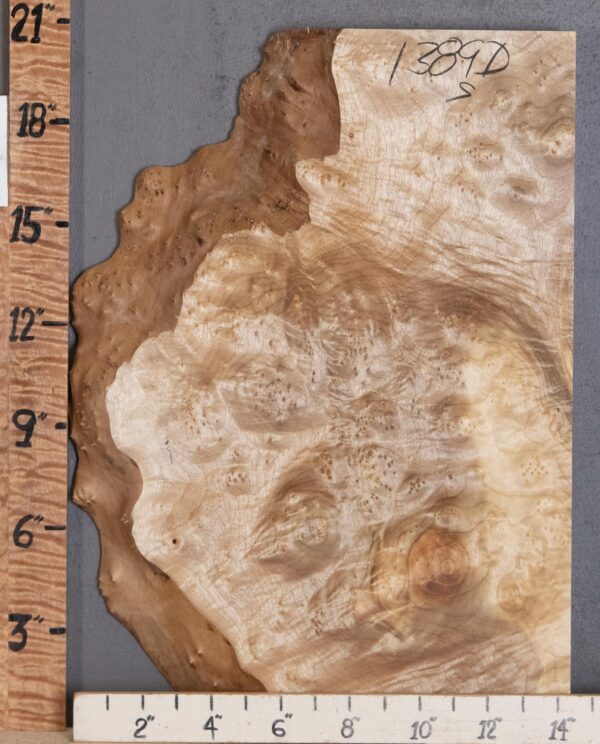 5A Burl Myrtlewood with Live Edge Lumber 13" X 20" X 2" (NWT-1389D)