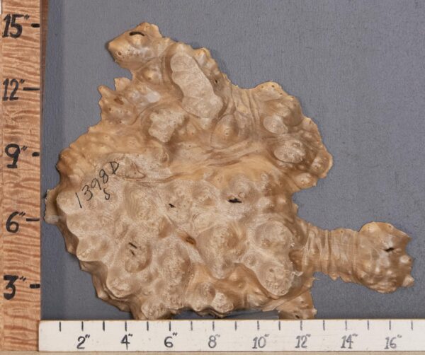 5A Burl Myrtlewood with Live Edge Lumber 13" X 17"1/2 X 1"1/8 (NWT-1398D)