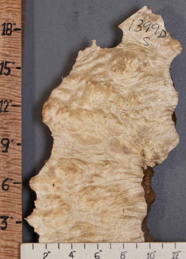 5A Burl Myrtlewood with Live Edge Lumber 9" X 19" X 2" (NWT-1399D) - Image 2