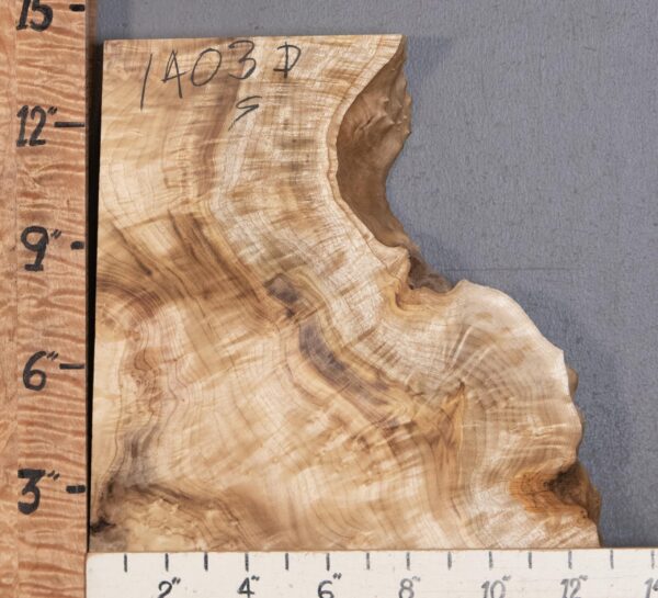 5A Burl Myrtlewood with Live Edge Lumber 12" X 14" X 2" (NWT-1403D) - Image 2