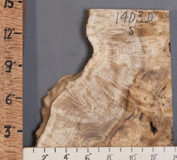 5A Burl Myrtlewood with Live Edge Lumber 12" X 14" X 2" (NWT-1403D)