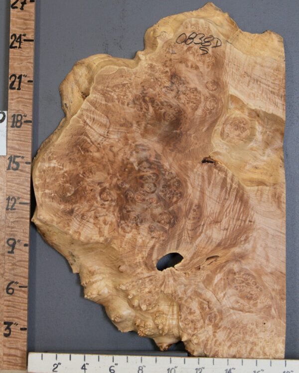 5A Spalted Burl Maple