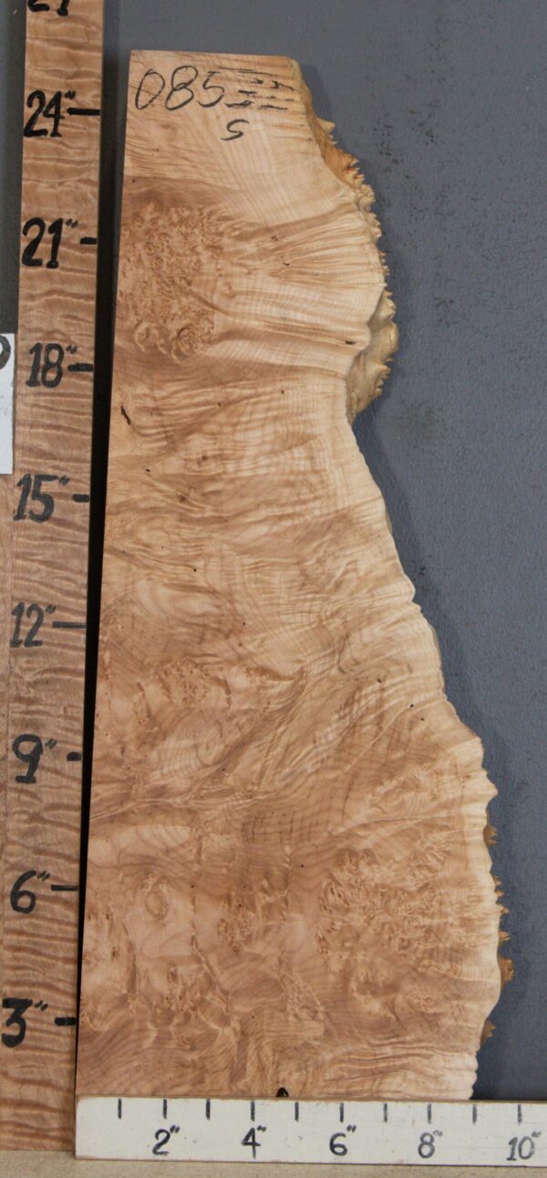 5A Burl Maple with Live Edge 9" X 25" X 2" (NWT-0853D) - Image 2