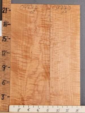 5A Curly Maple