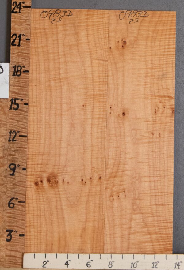 5A Curly Maple