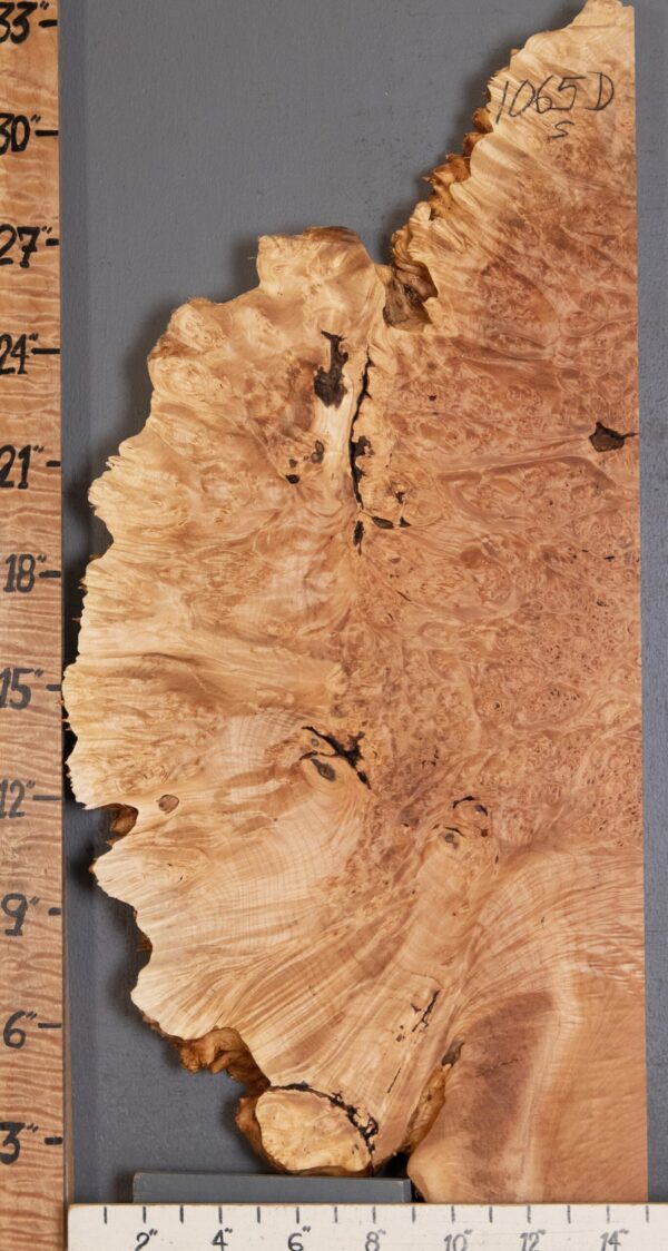 5A Burl Maple with Live Edge 14" X 32" X 2"1/8 (NWT-1065D) - Image 2