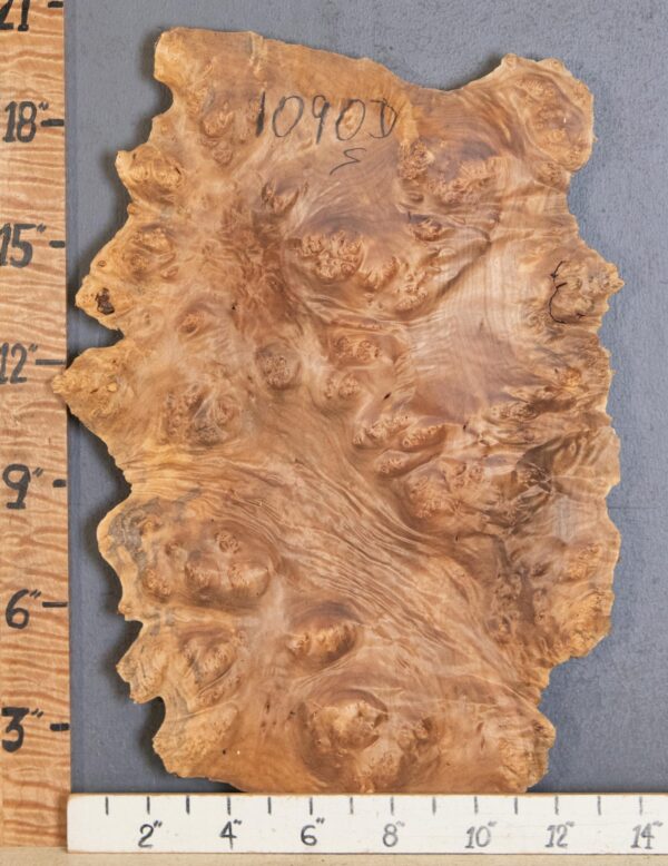 5A Burl Maple with Live Edge 13" X 19" X 1"1/4 (NWT-1090D) - Image 2