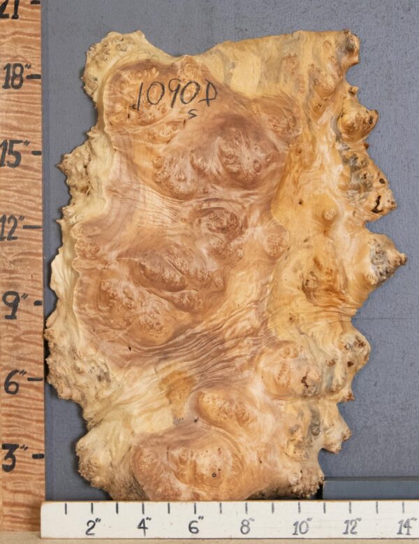 5A Burl Maple with Live Edge 13" X 19" X 1"1/4 (NWT-1090D)