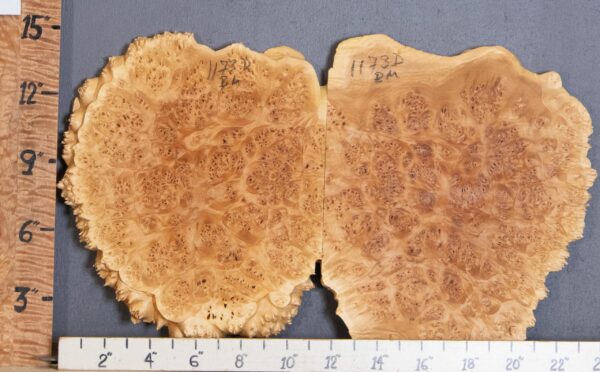 5A Burl Maple Bookmatch with Live Edge Lumber 24" X 14" X 3/4" (NWT-1173D) - Image 2