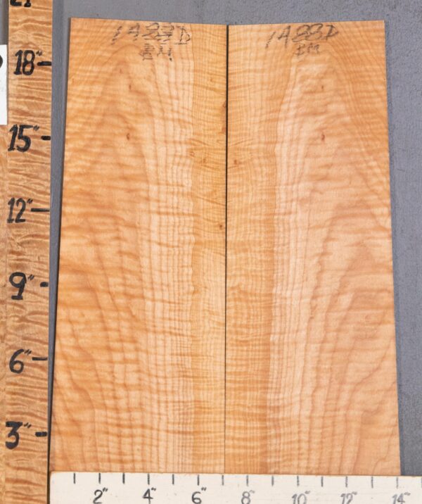 Musical Microlumber Curly Maple Bookmatch Lumber 12"3/4 X 19" X 1/4" (NWT-1488D) - Image 2