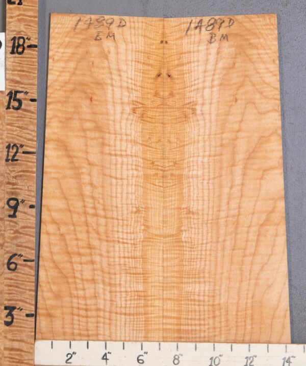 Musical Microlumber Curly Maple Bookmatch Lumber 12"3/4 X 19" X 1/4" (NWT-1489D)