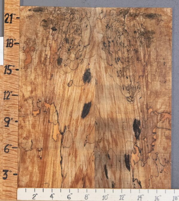 Musical Microlumber Spalted Maple Bookmatch Lumber 17"1/2 X 22" X 3/8" (NWT-1537D) - Image 2