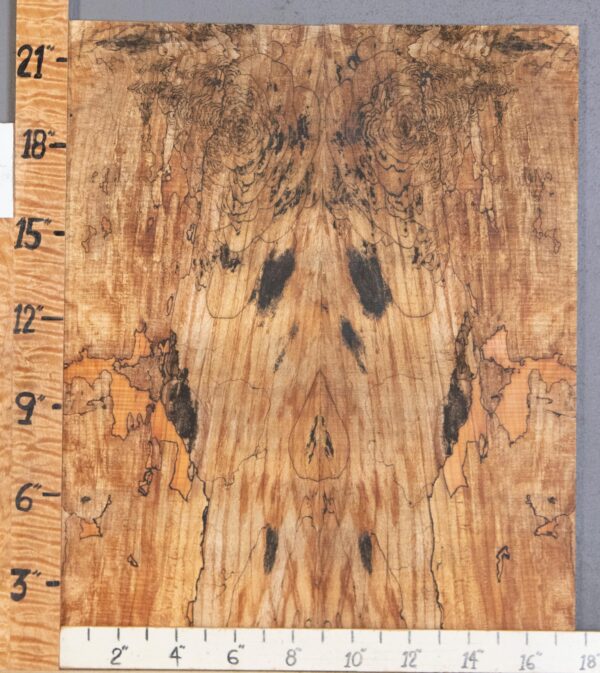 Musical Microlumber Spalted Maple Bookmatch Lumber 17"1/2 X 22" X 3/8" (NWT-1537D)