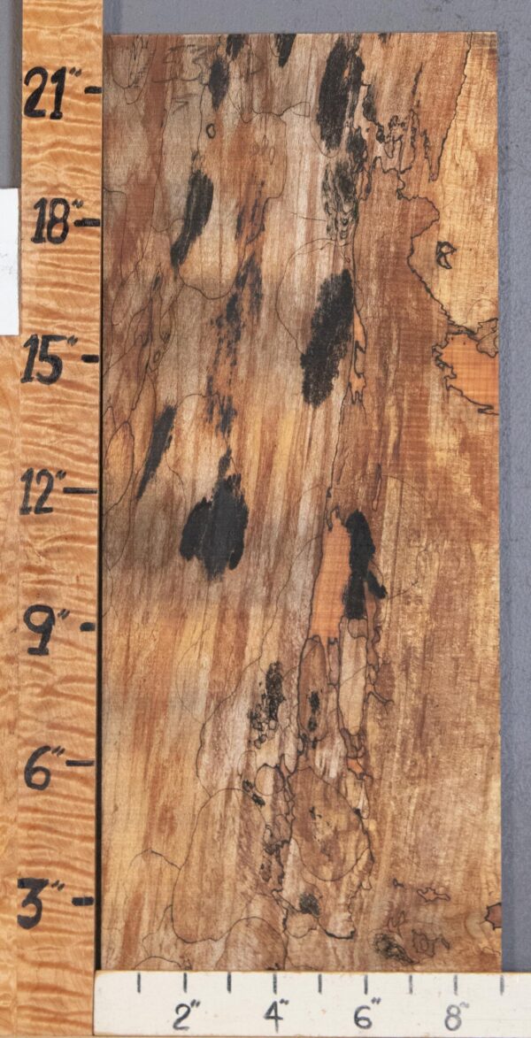 Musical Microlumber Spalted Maple Lumber 8"3/4 X 22" X 3/8" (NWT-1538D) - Image 2