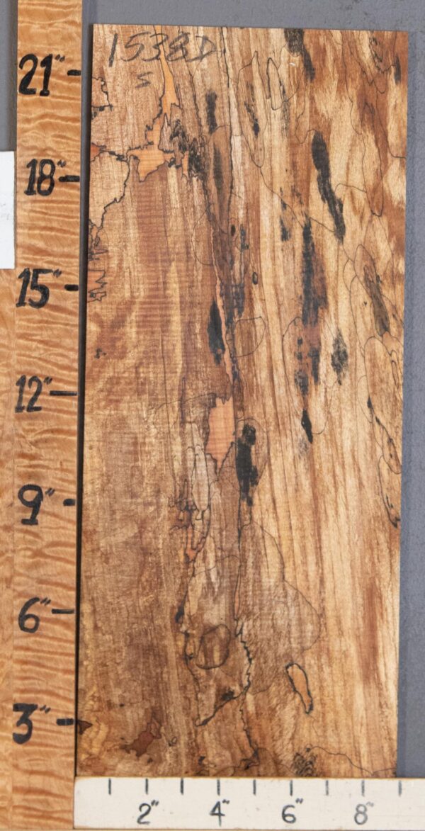 Musical Microlumber Spalted Maple Lumber 8"3/4 X 22" X 3/8" (NWT-1538D)