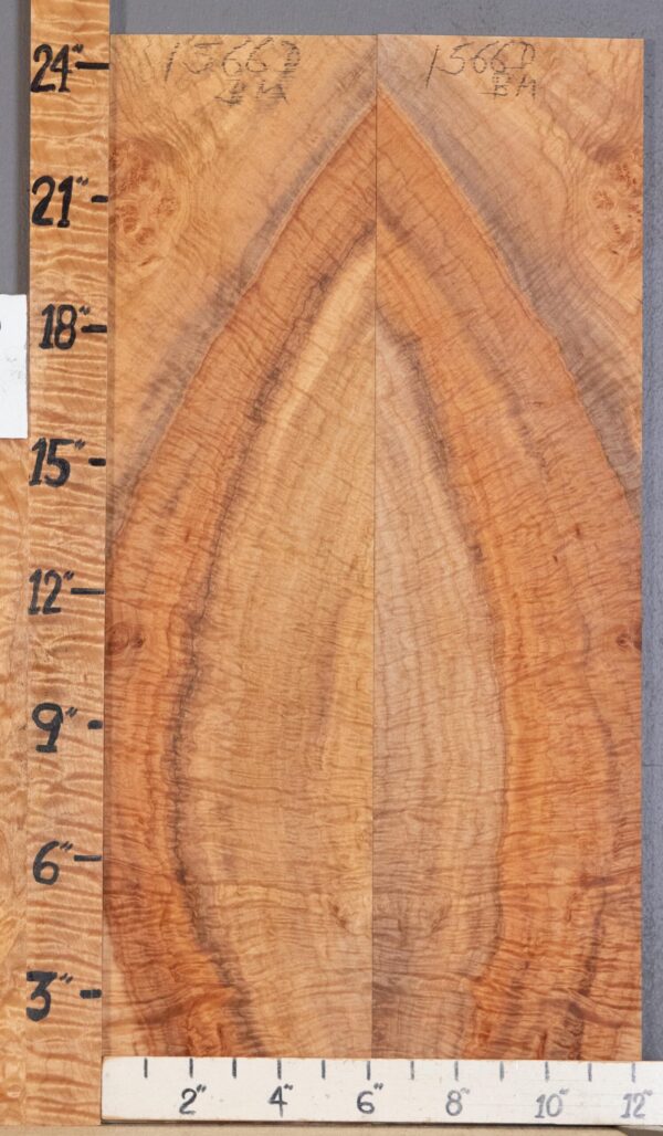 Musical Microlumber Curly Spalted Maple Bookmatch Lumber 12"1/4 X 24" X 3/8" (NWT-1566D) - Image 2