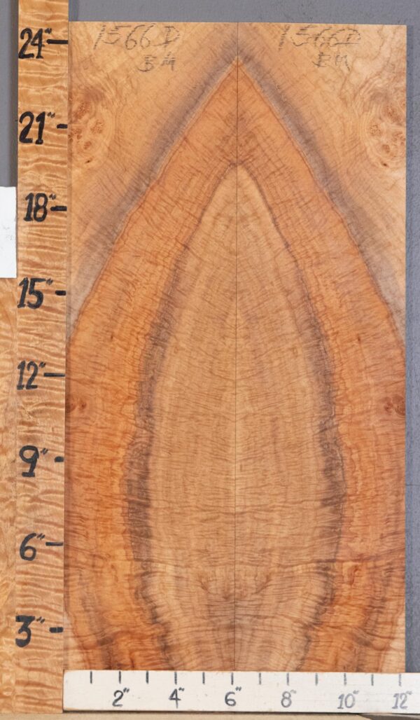 Musical Microlumber Curly Spalted Maple Bookmatch Lumber 12"1/4 X 24" X 3/8" (NWT-1566D)