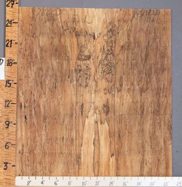 Musical Microlumber Spalted Maple Bookmatch Lumber 23" X 26" X 1/4" (NWT-1600D) - Image 2