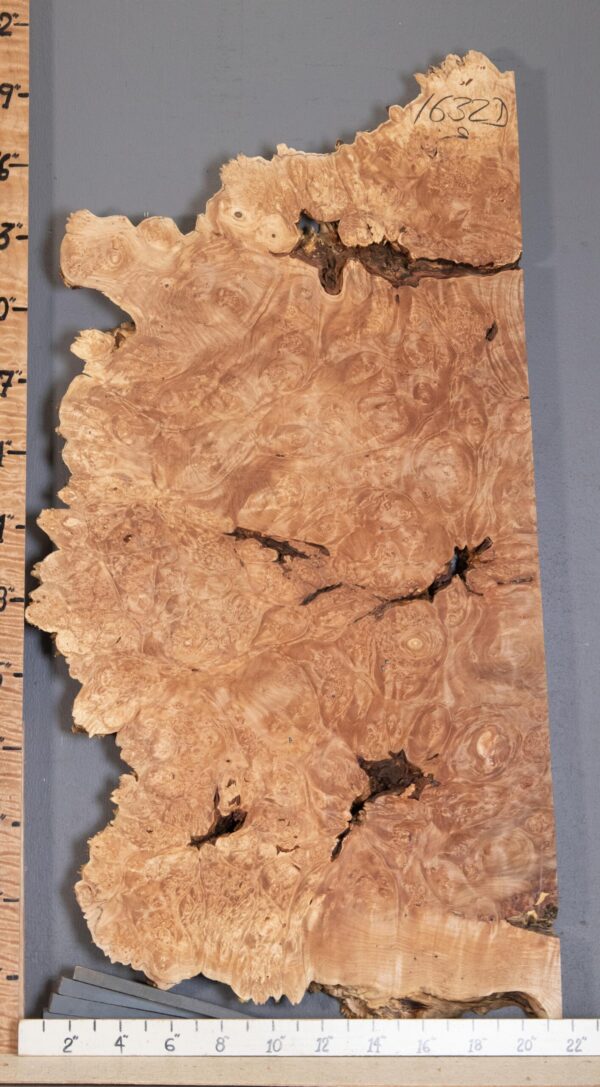 5A Burl Maple with Live Edge Lumber 20" X 40" X 1"3/4 (NWT-1632D) - Image 2