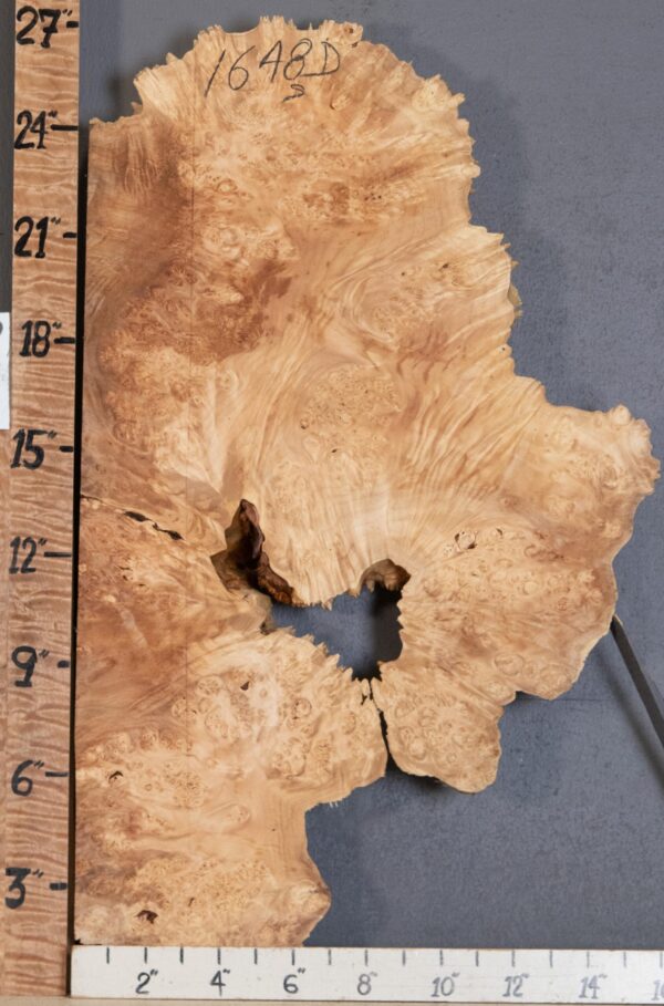 5A Spalted Burl Maple with Live Edge Lumber 15" X 26" X 2"1/8 (NWT-1648D) - Image 2