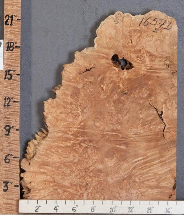 5A Spalted Burl Maple with Live Edge Lumber 16" X 21" X 1"7/8 (NWT-1657D) - Image 2