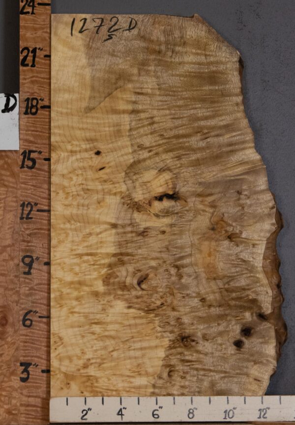 5A Block Curly Burl Myrtlewood with Live Edge Lumber 11"  X 23" X 1"7/8 (NWT-1272D)