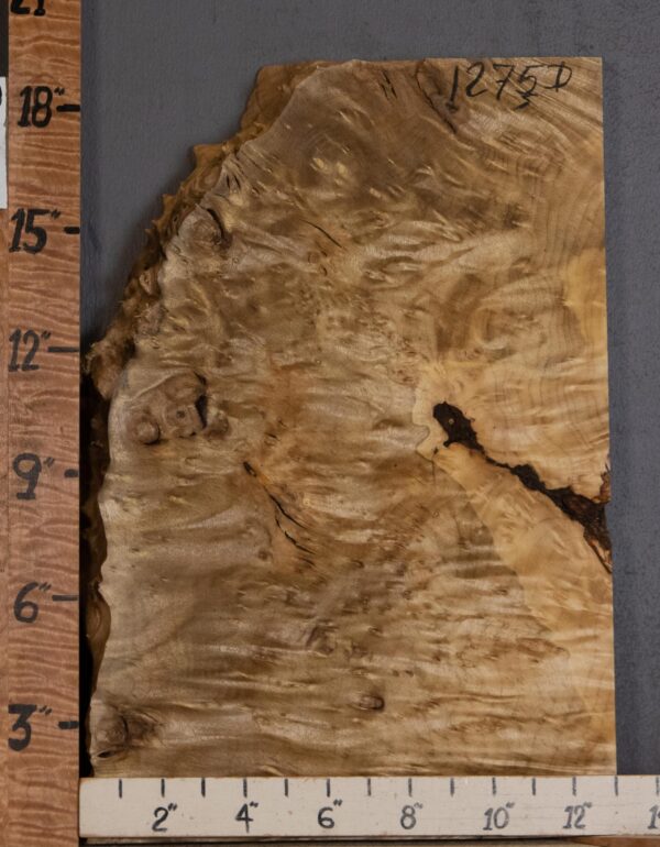 5A Block Burl Myrtlewood with Live Edge Lumber 11" X19" X 1"7/8 (NWT-1275D) - Image 2