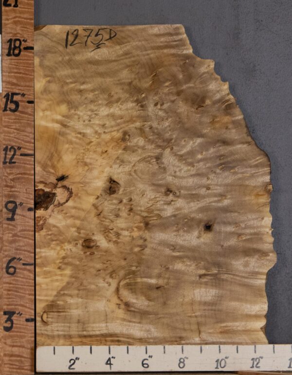 5A Block Burl Myrtlewood with Live Edge Lumber 11" X19" X 1"7/8 (NWT-1275D)