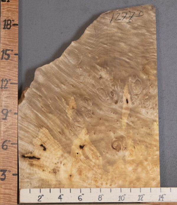 5A Block Burl Myrtlewood with Live Edge Lumber 9" X 19" X 1"3/4 (NWT-1277D) - Image 2