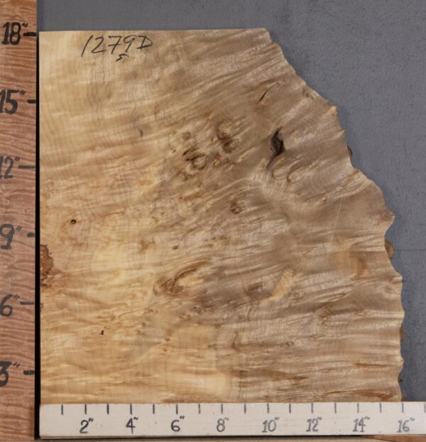 5A Block Curly Burl Myrtlewood with Live Edge Lumber 13"1/2 X 18" X 1"7/8 (NWT-1279D) - Image 2