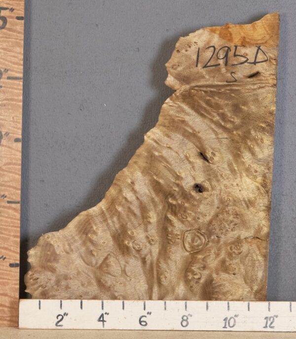 5A Block Burl Myrtlewood with Live Edge Lumber 8"1/2 X 14" X 1"3/4 (NWT-1295D) - Image 2