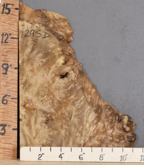 5A Block Burl Myrtlewood with Live Edge Lumber 8"1/2 X 14" X 1"3/4 (NWT-1295D)