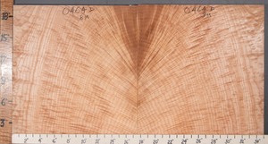 5A Block Curly Crotch Maple