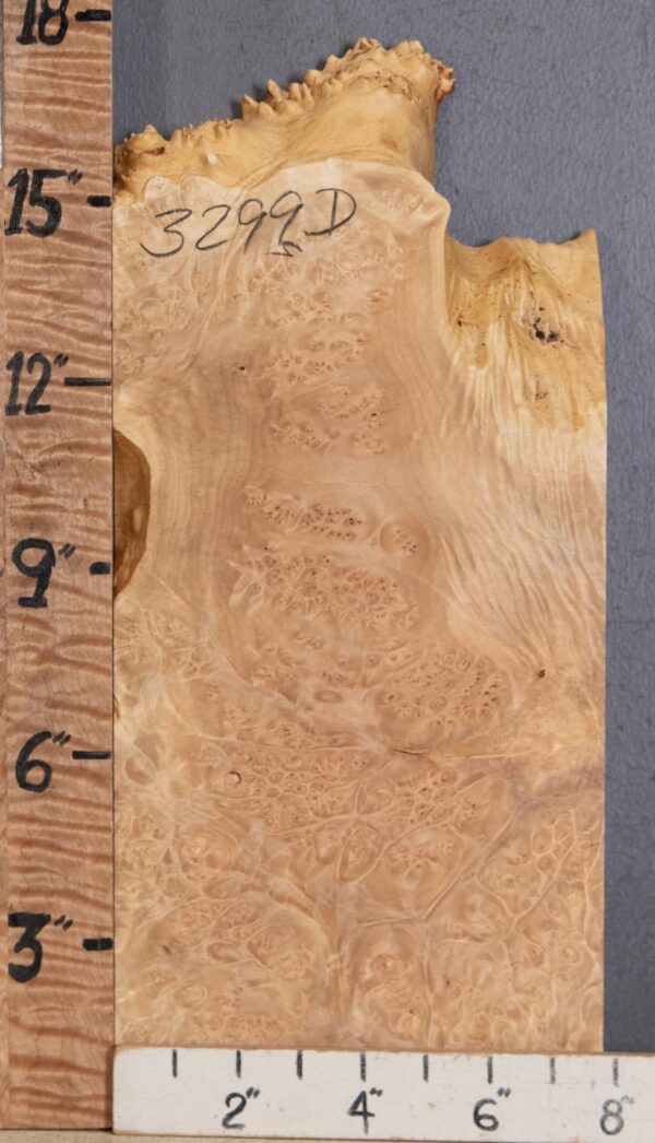 5A Block Burl Maple with Live Edge Lumber 7"3/4 X 17" X 2"1/8 (NWT-3299D)