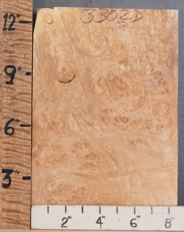 5A Block Burl Maple Lumber 8" X 12" X 1"7/8 (NWT-3302D)